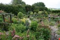 view of the garden at Gardeners Rest