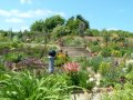 view of the garden at Gardeners Rest