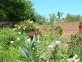 view of the garden at Gardeners Rest