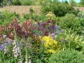 view of the garden at Gardeners Rest
