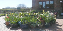 view of Gardeners Rest