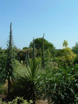 view of the garden at Gardeners Rest